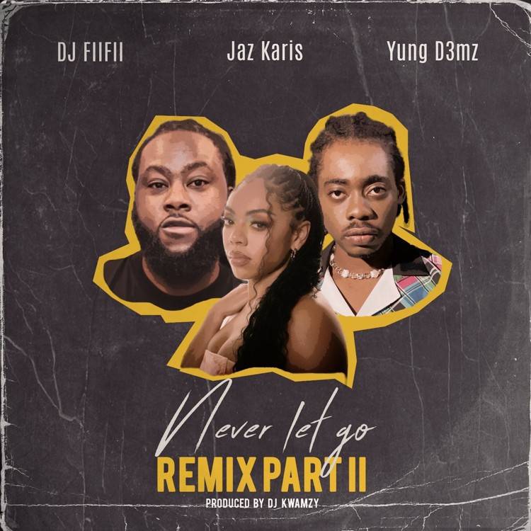 Never Let Go Remix Part II - Single