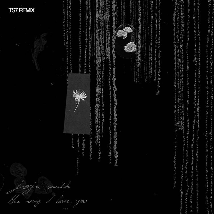 The Way I Love You (TS7 Remix) - Single