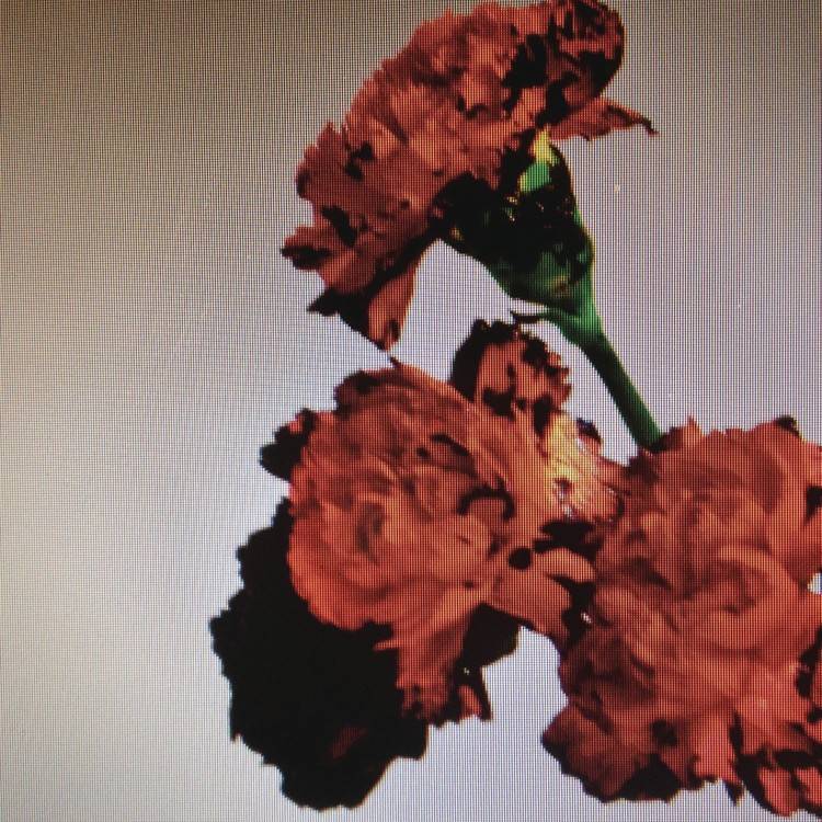 Made To Love (Remixes) - Single