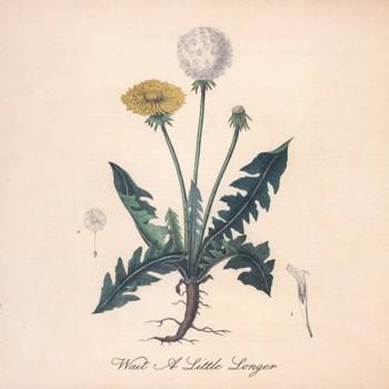 Wait A Little Longer - Single