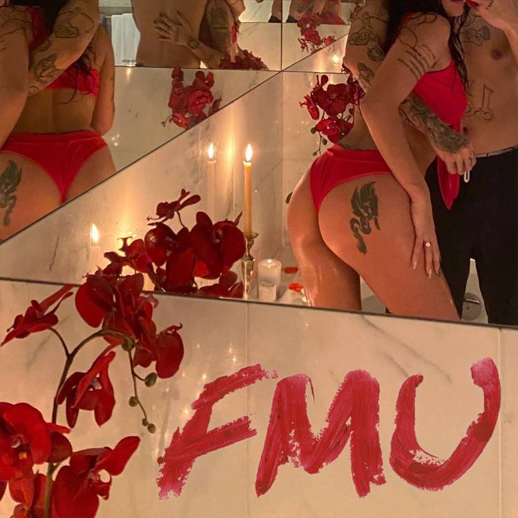 FMU - Single