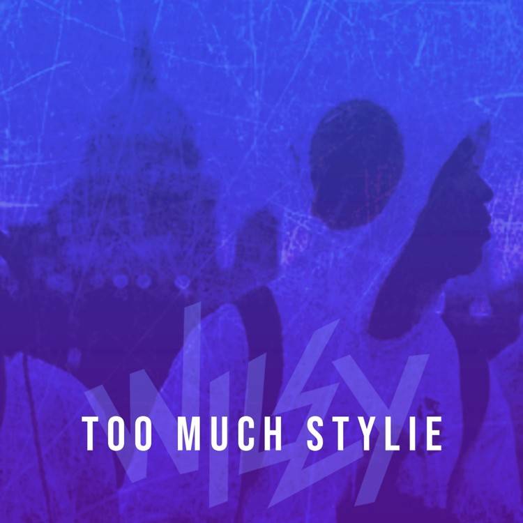 Too Much Stylie - Single