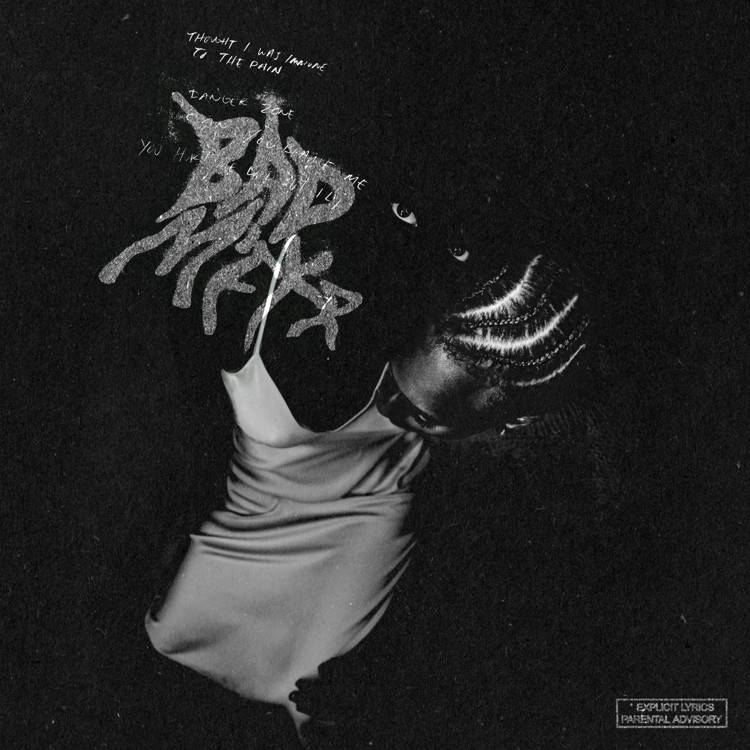 Bad M'fkr - Single
