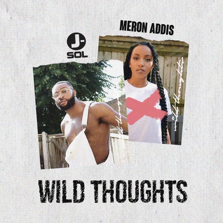 Wild Thoughts (Refix) - Single