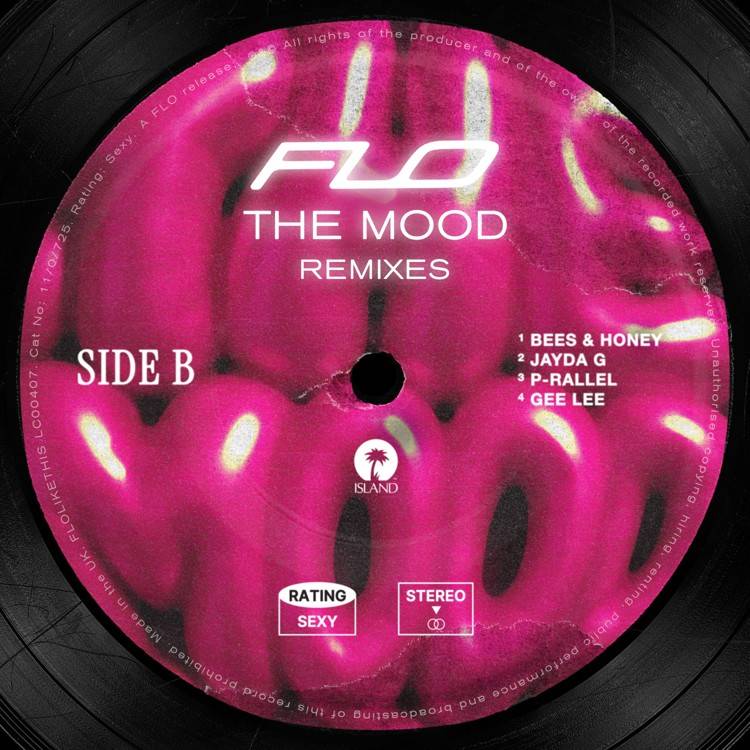 The Mood (Remixes)