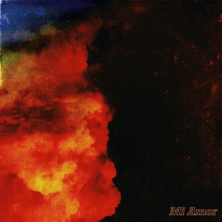 Mi Amor - Single