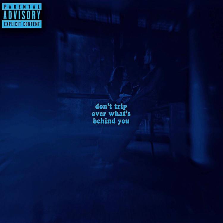 DON'T TRIP. (REMIX)