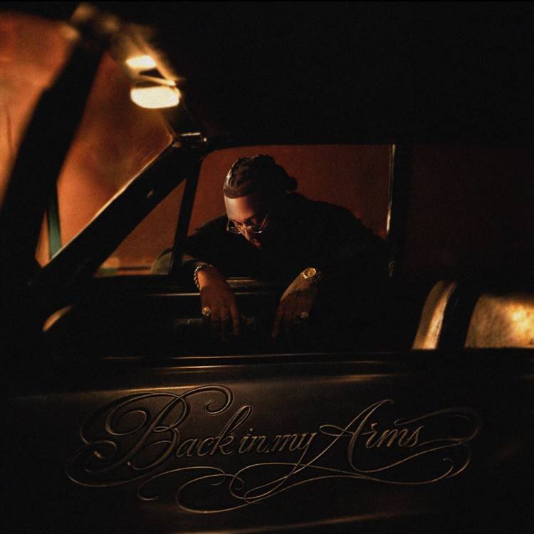 BACK IN MY ARMS - Single