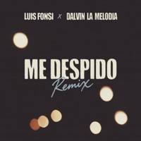 Me Despido (Remix)