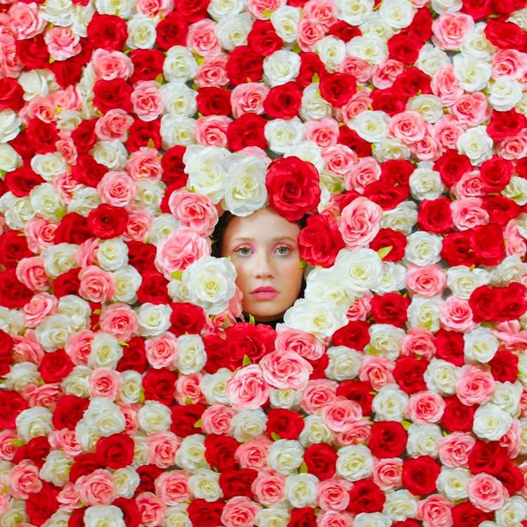 Flowers - Single