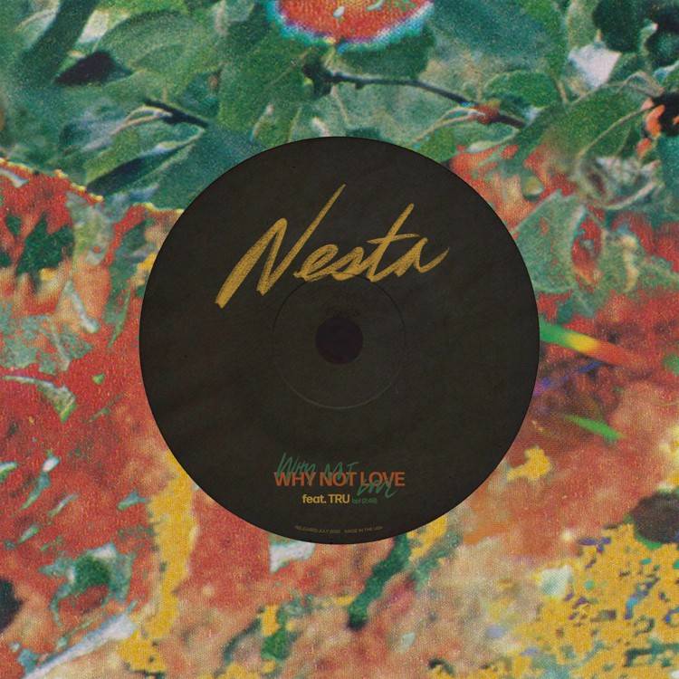 Why Not Love (feat. Tru) - Single