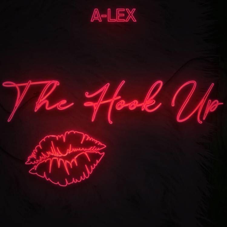 The Hook Up (Radio Edit) - Single