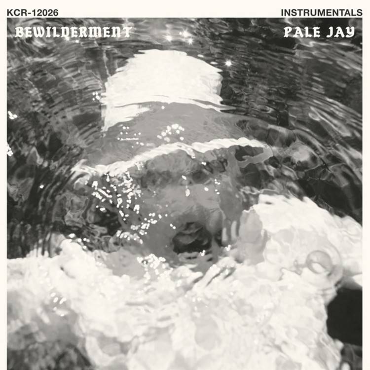 Bewilderment (Instrumentals)