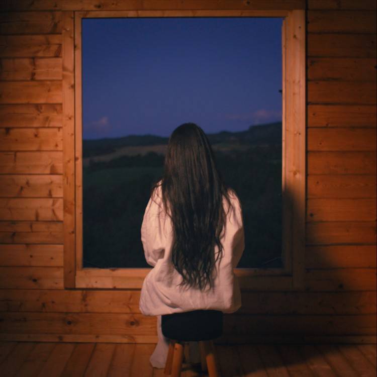 But It's Lonely - Single