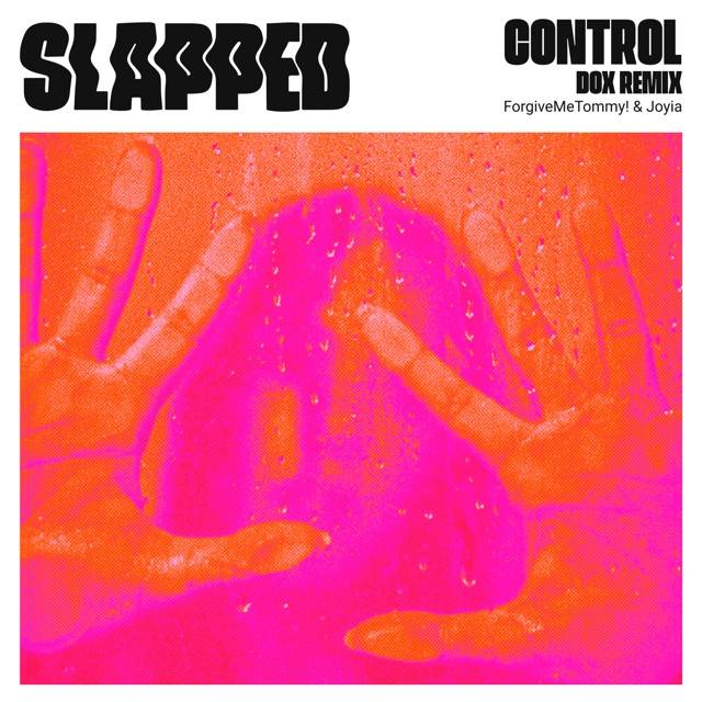 Control (DOX Remix) - Single