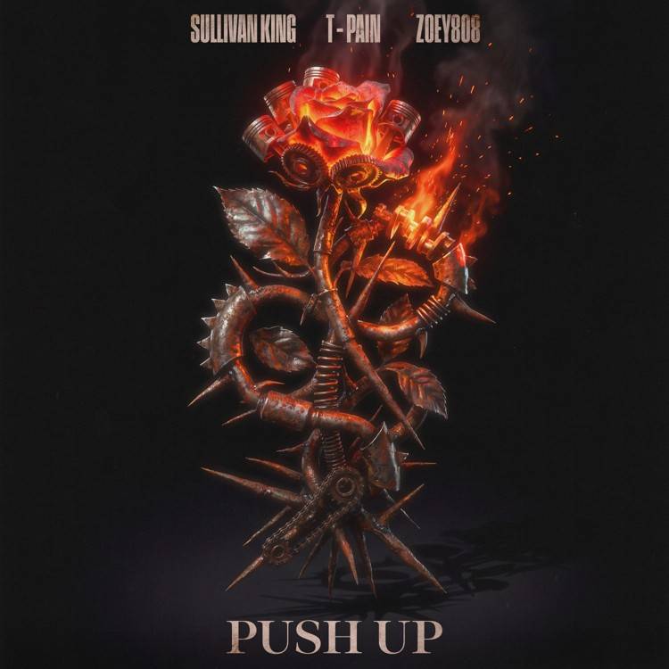 Push Up - Single