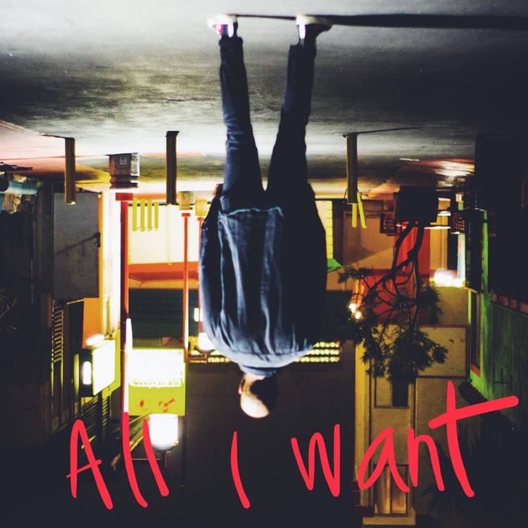 All I Want - Single