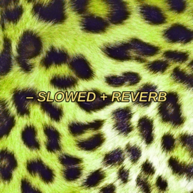 You Ain't Got Enough Clout (Slowed + Reverb) - Single