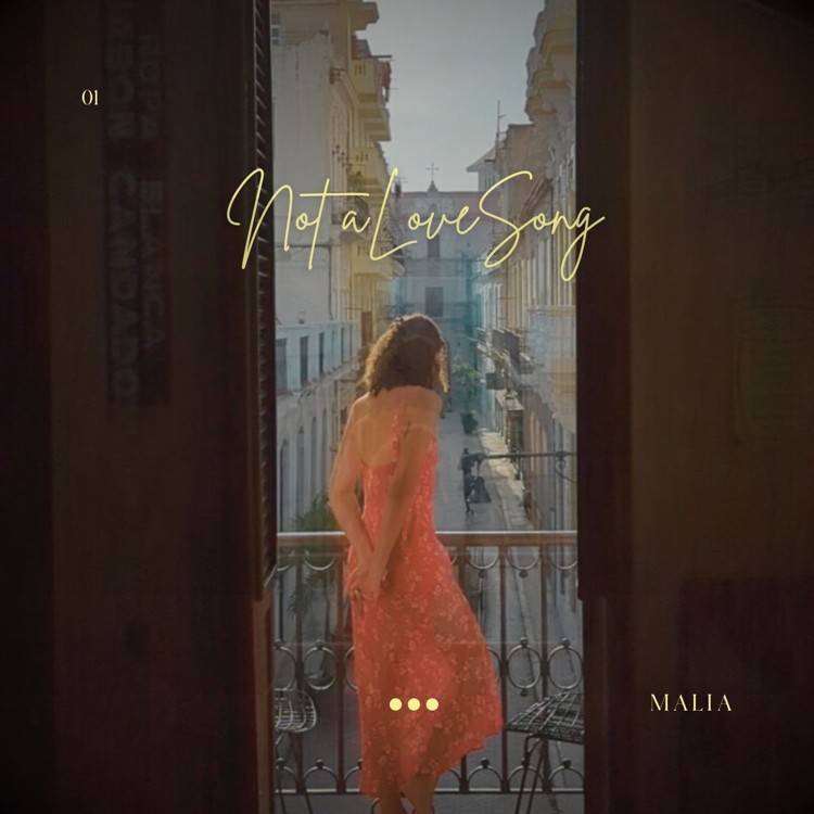 Not a Love Song - Single