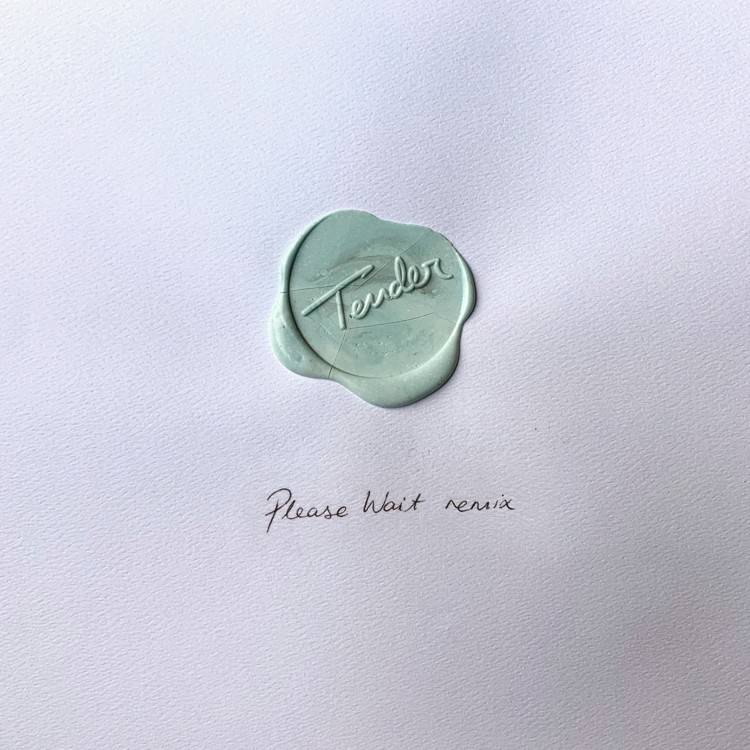 Tender (Please Wait Remix) - Single