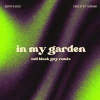 In My Garden (feat. Carlitta Durand) [Tall Black Guy Remix] - Single
