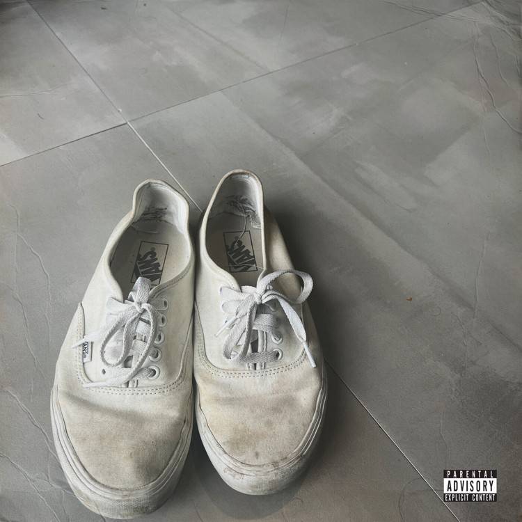 DIRTY VANS - Single