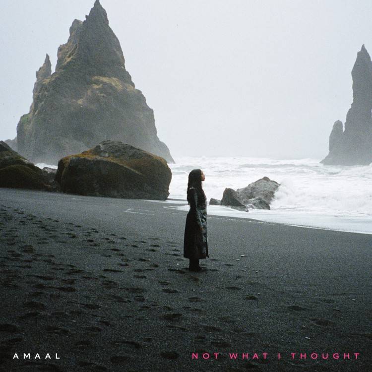 Not What I Thought - Single