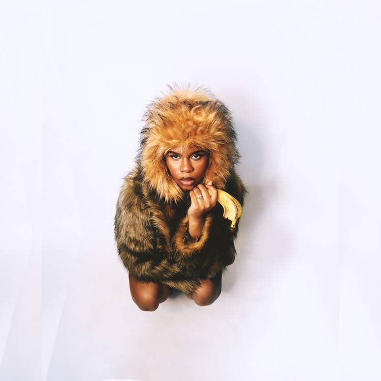 Monkey See Monkey Do