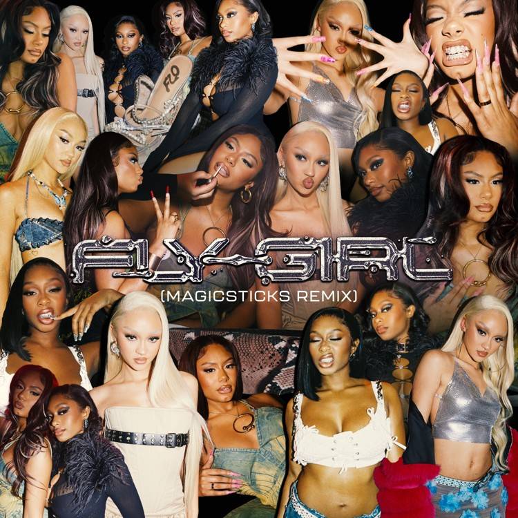 Fly Girl (Magicsticks Remix) - Single