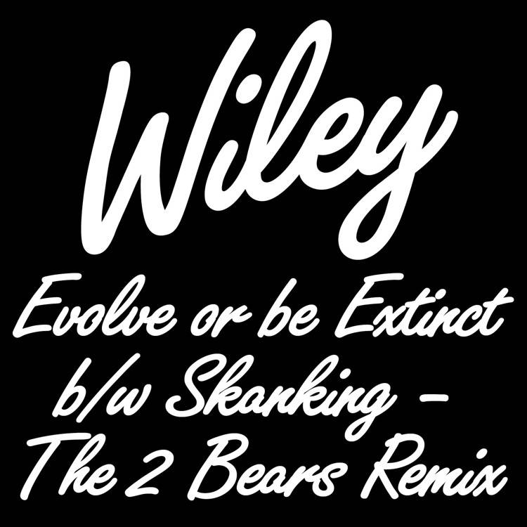 Evolve or Be Extinct b/w Skanking (The 2 Bears Remix)