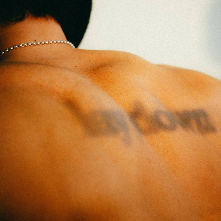 Lay Down (feat. Amaal Nuux) - Single