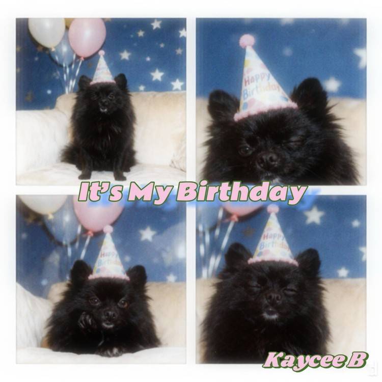 It’s My Birthday - Single