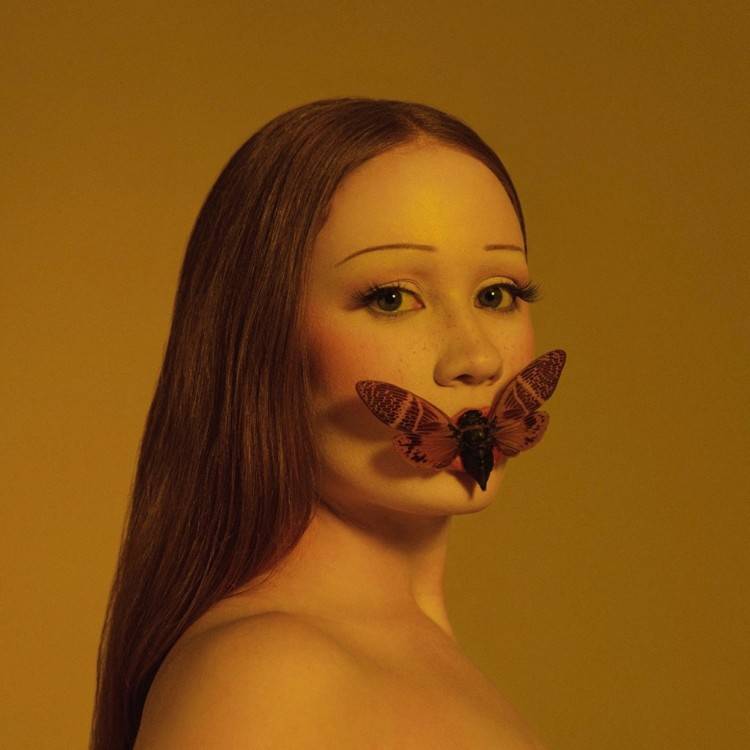 Wild - Single