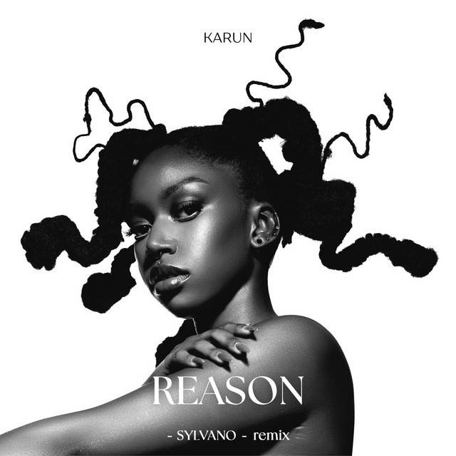 REASON [SYLVANO - remix (Radio edit)]