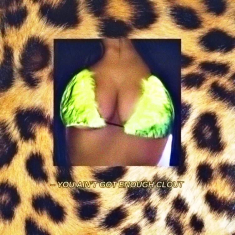 You Ain't Got Enough Clout - Single