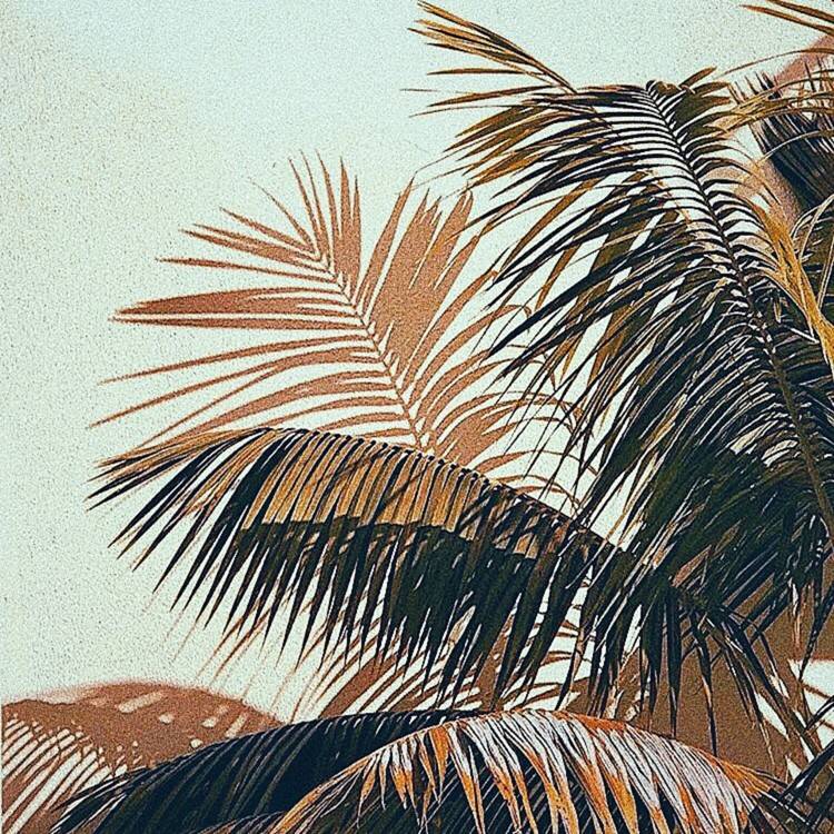 Cruise - Single