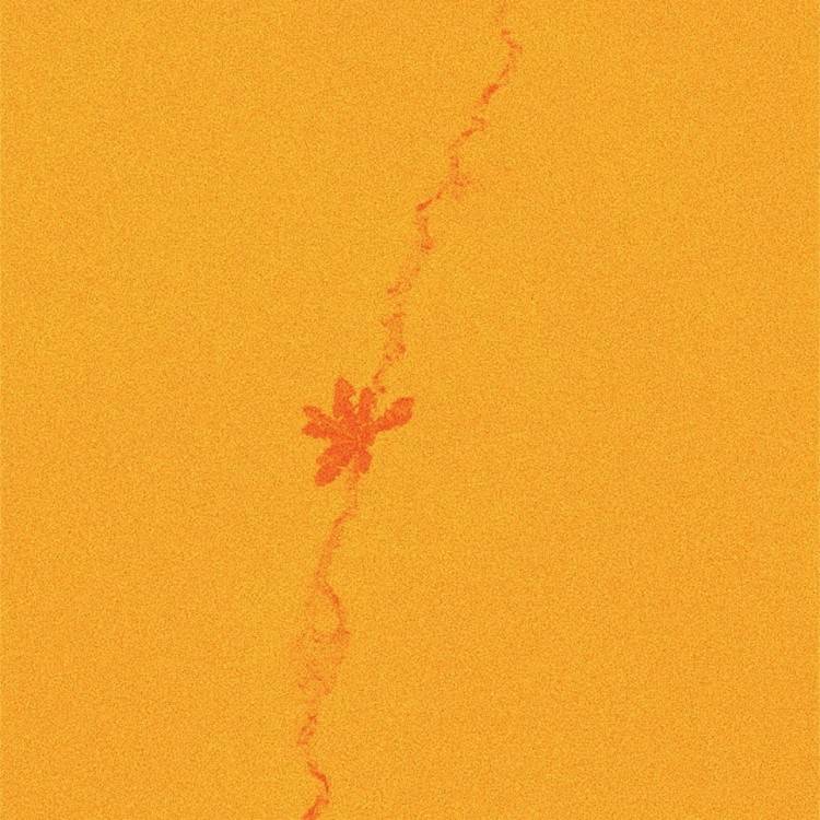 yellow hills - EP