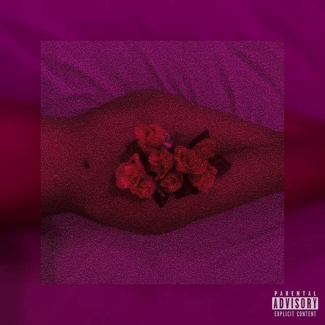 The Flowers You Never Gave Me