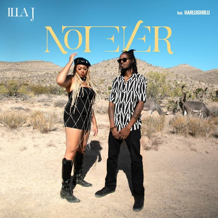 Not Ever (feat. Harleighblu) - Single