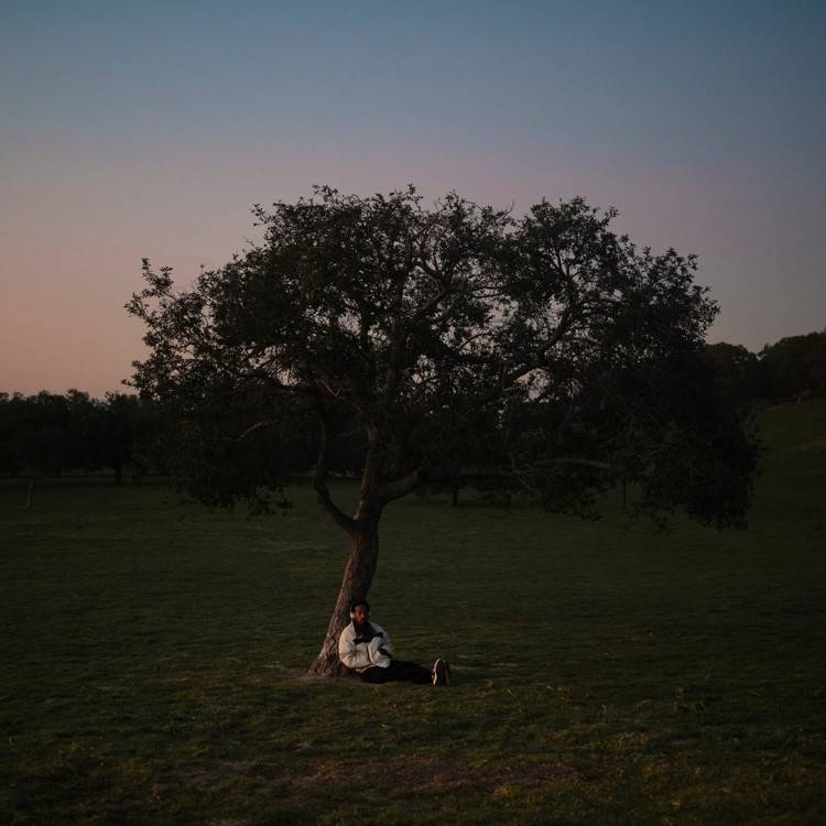 Sundays - Single