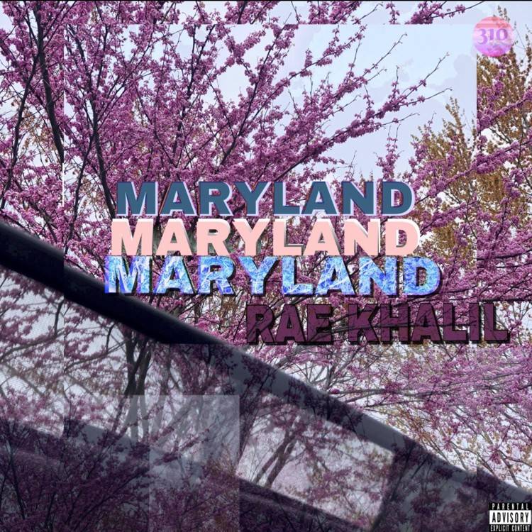 Maryland - Single