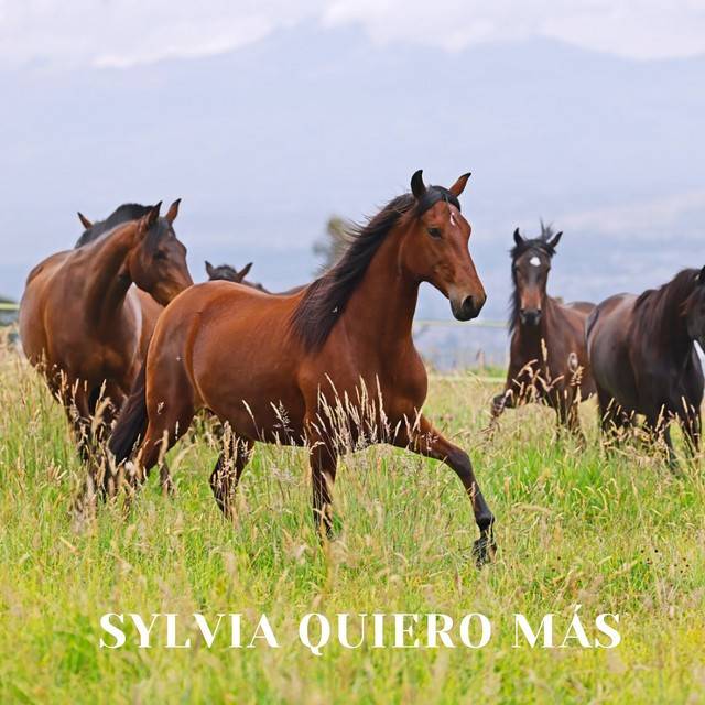 Sylvia Quiero Más